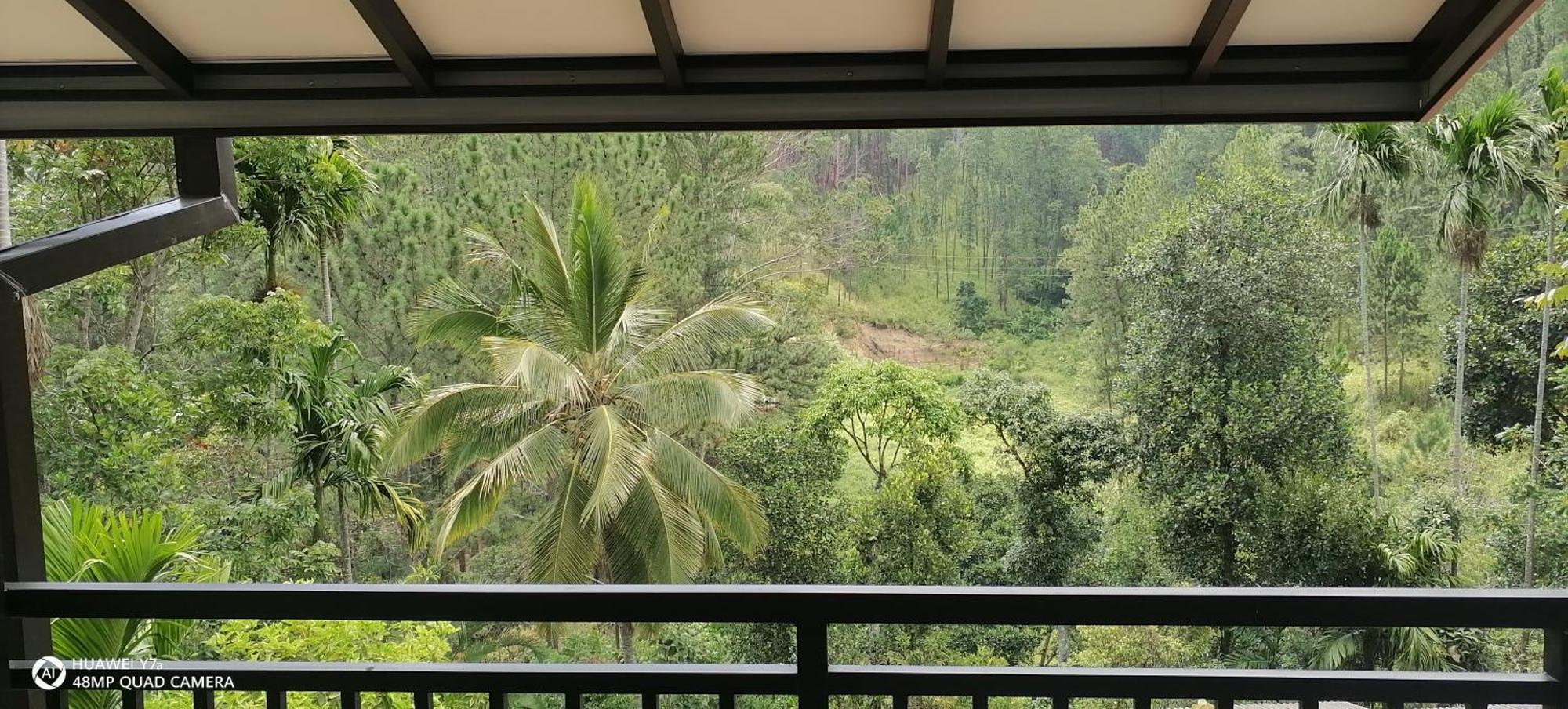 Isuru Homestay Ella Exteriör bild