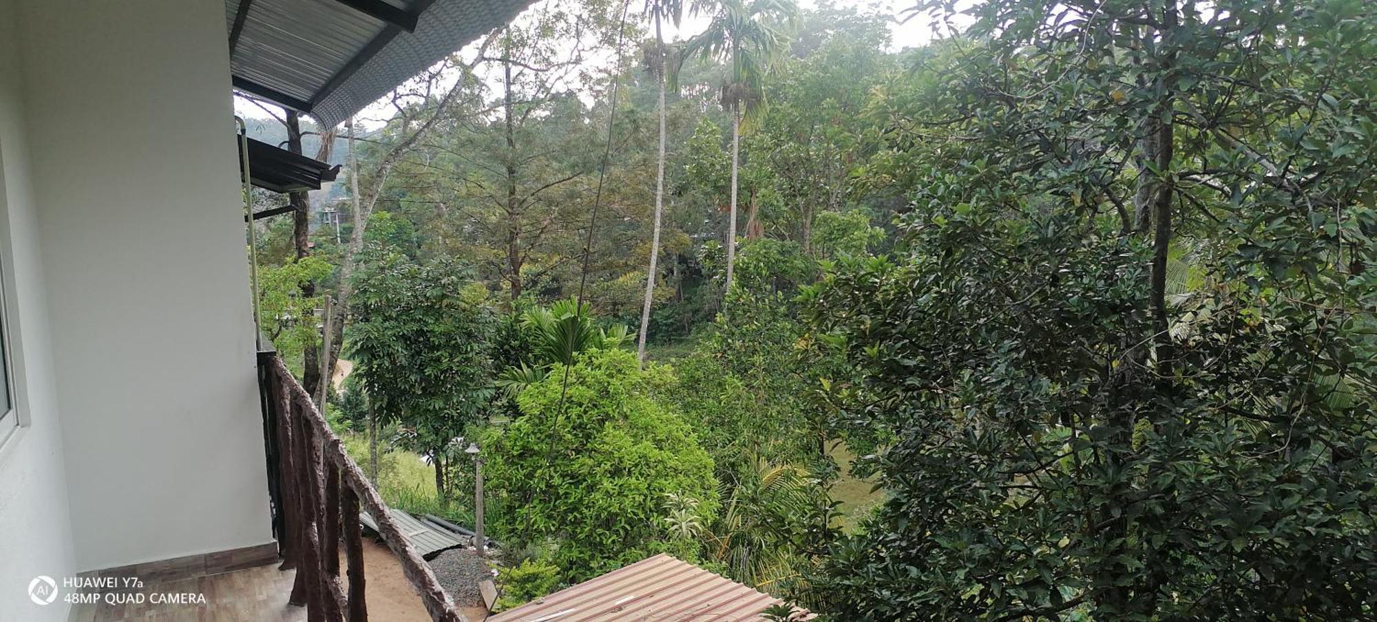 Isuru Homestay Ella Exteriör bild
